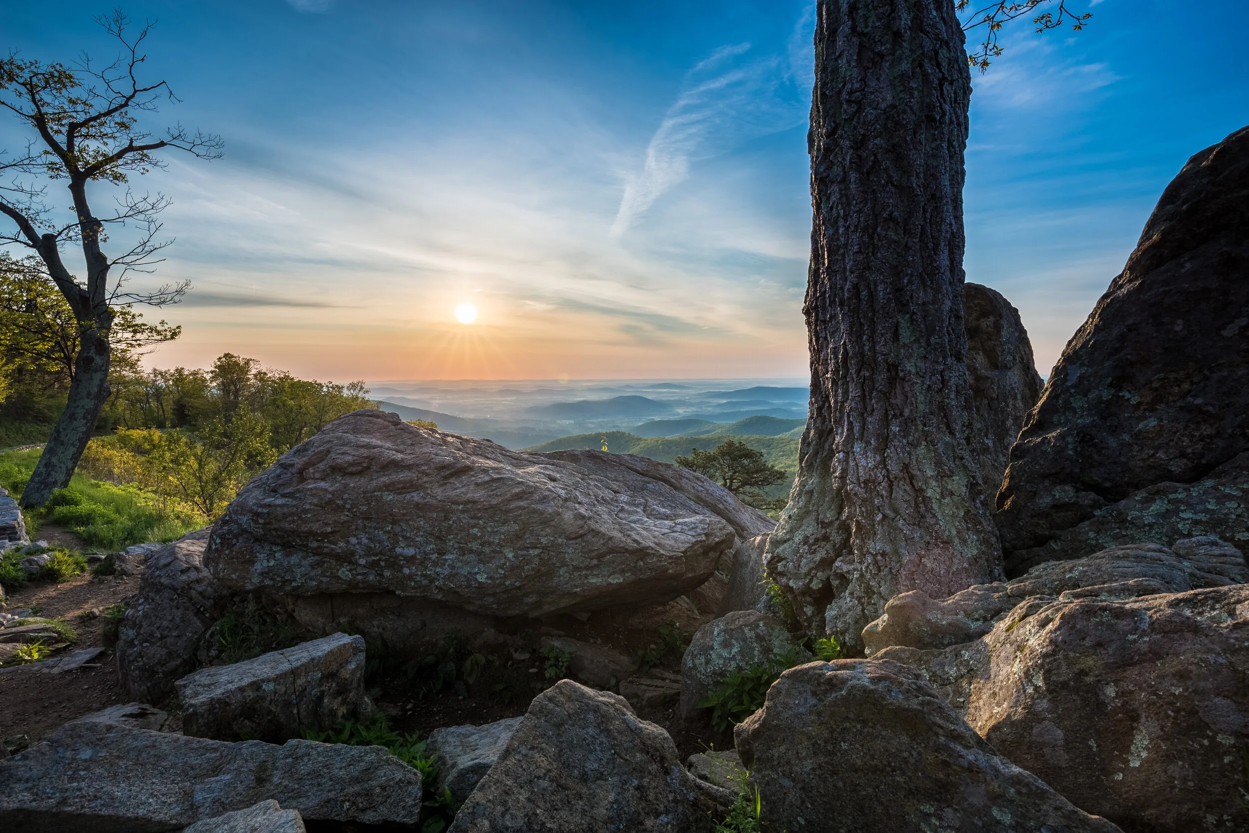 vecteezy_a-view-of-rocks-and-trees-at-sunrise-with-mountain-in-the-background_1259759.jpg