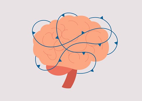 Illustration of a human brain with blue arrows indicating brain activity and flow patterns.