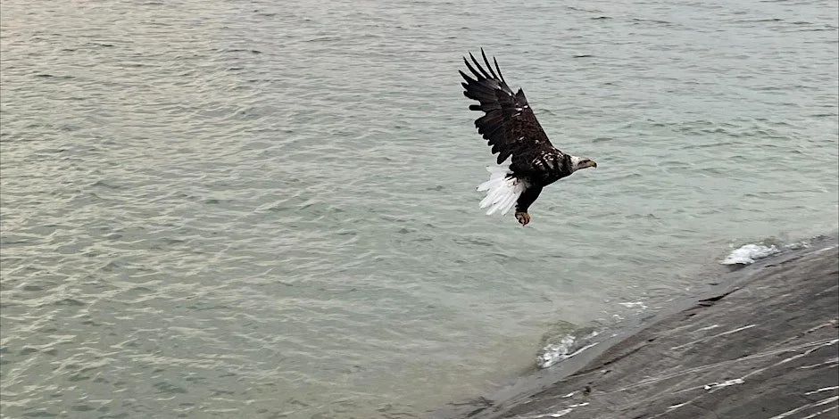 Natural Teachings in Balance: Walking into Reconciliation