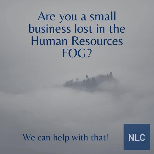 Do you have a team of employees, but no HR department? 
Are you a business owner who is really good at what you do but managing a team is &ldquo;challenging&rdquo;? 
Do you need support navigating through the FOG of Human Resources? 
Do you need supp