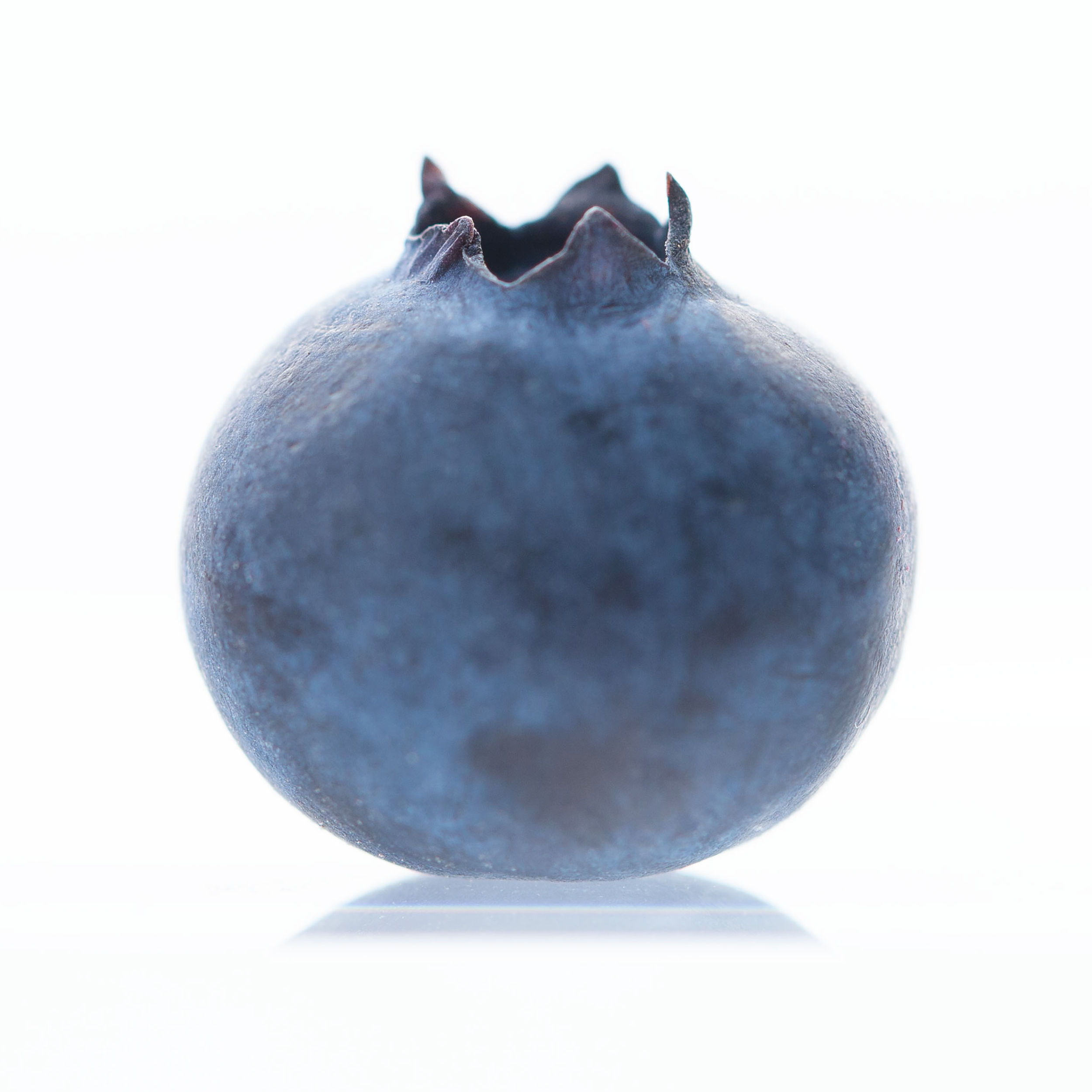 ITB_Photography-08.png
