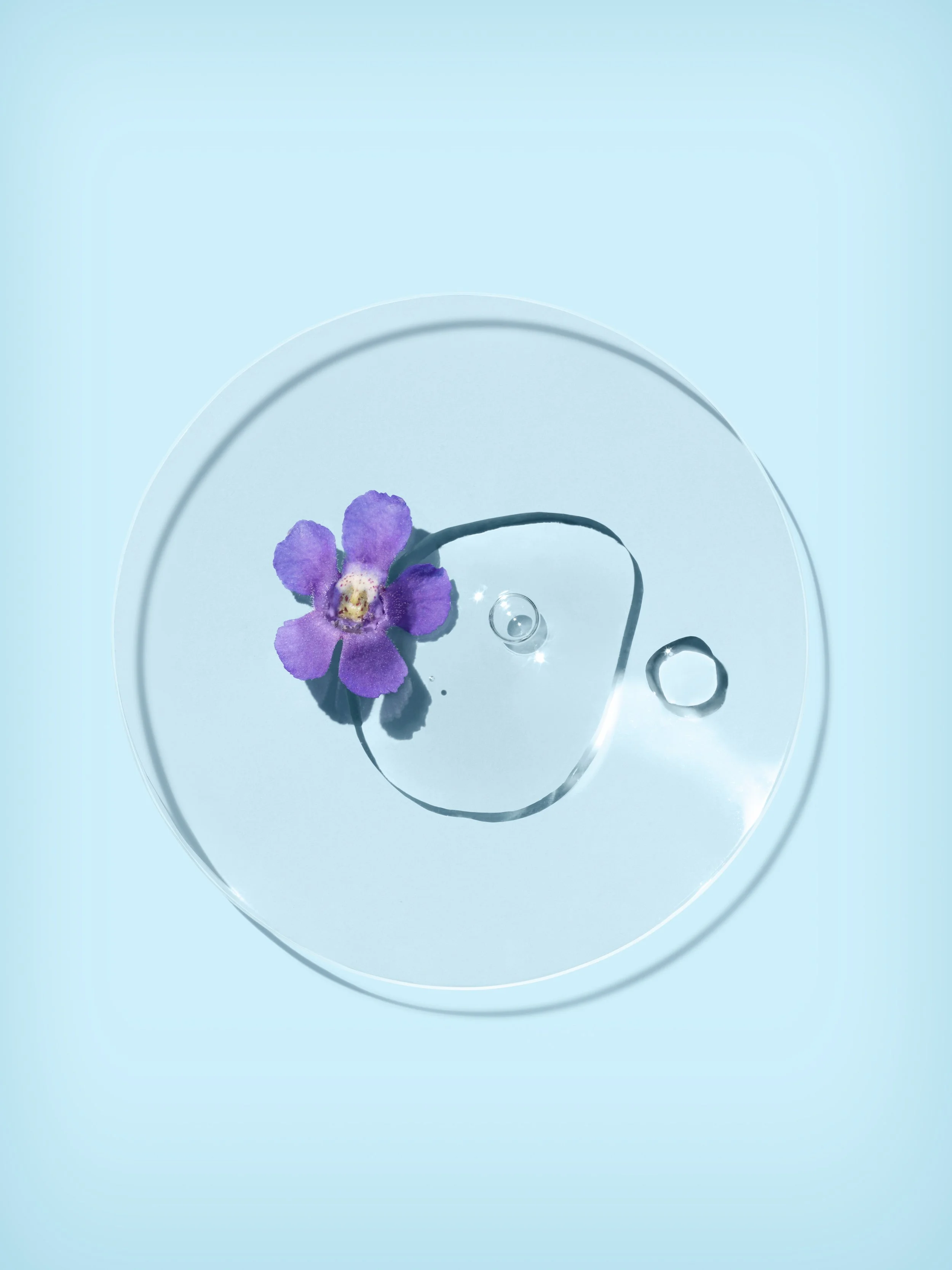 Lumify-07-Version01.jpg