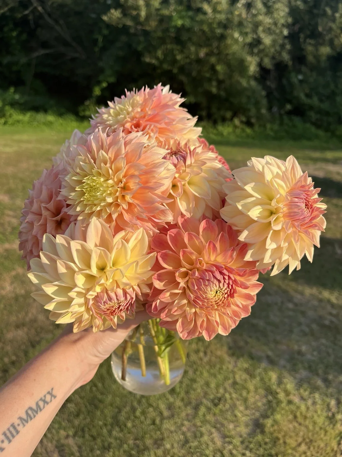 Peach, coral and yellow dahlias gathered in a glass vase at Campeau Farms