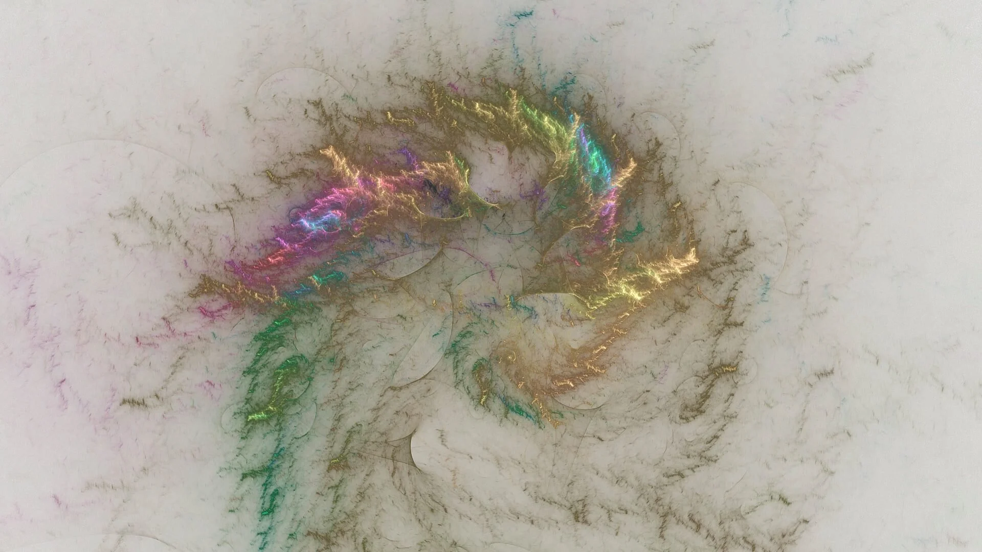 Video image from Brenda Molloy and Paul Rudy's collaboration.