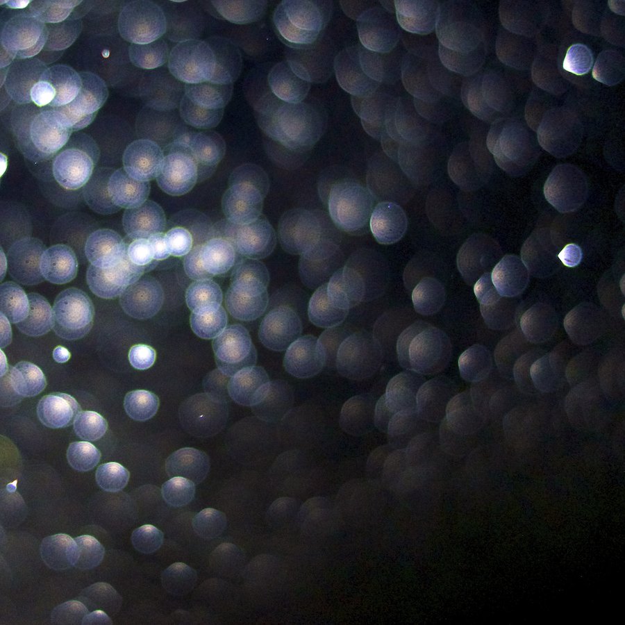 Joyful is the dark smaller.jpeg