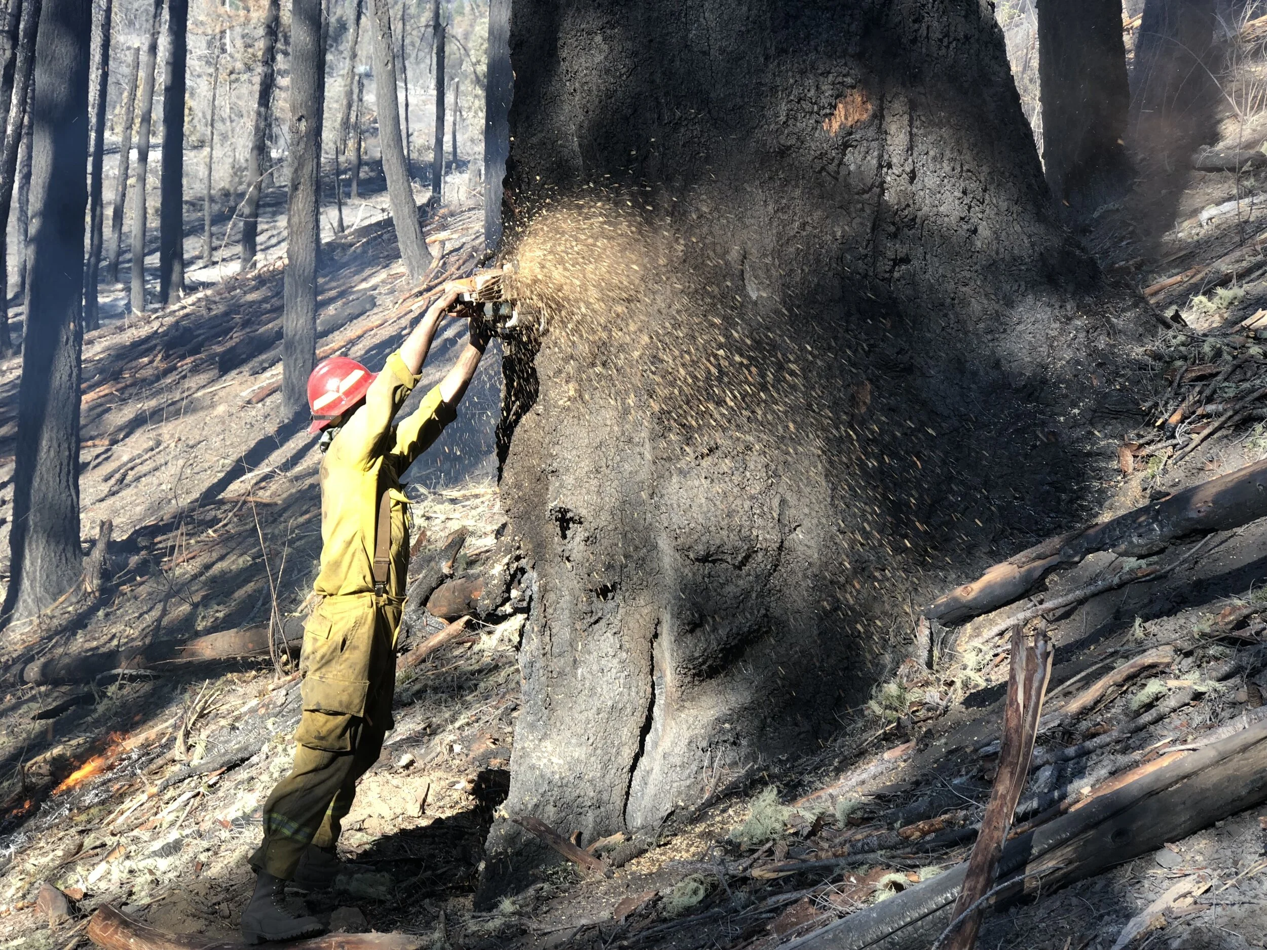 Working in Covelo during the 2018 Eel fire. 