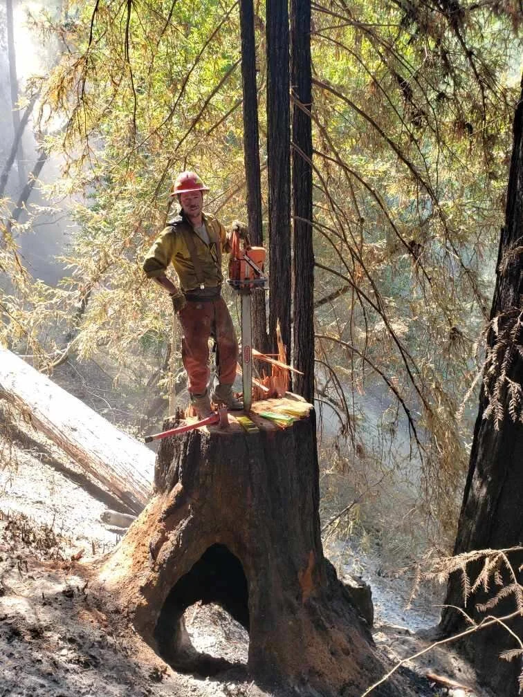 Nathan working on the Hennessy fire near Napa in 2020. This second growth redwood was near a road and was standing on three legs, hazards like this are common after fires and need to be mitigated for the local communities safety. 