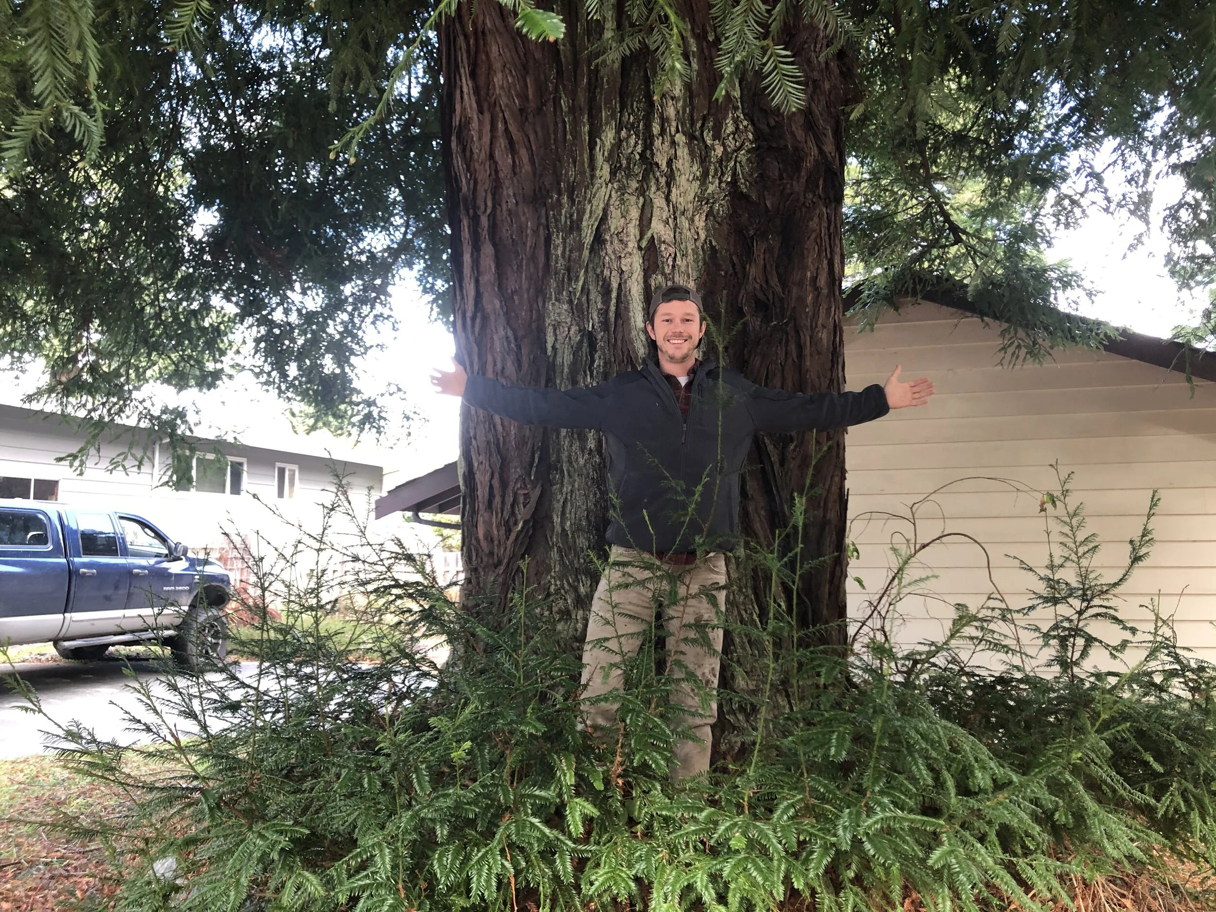 Humboldt has the tallest trees in the world and also some of the nations largest DBH (diameter at breast height)  trees, it is not uncommon to see a 5'+ second growth redwood. 