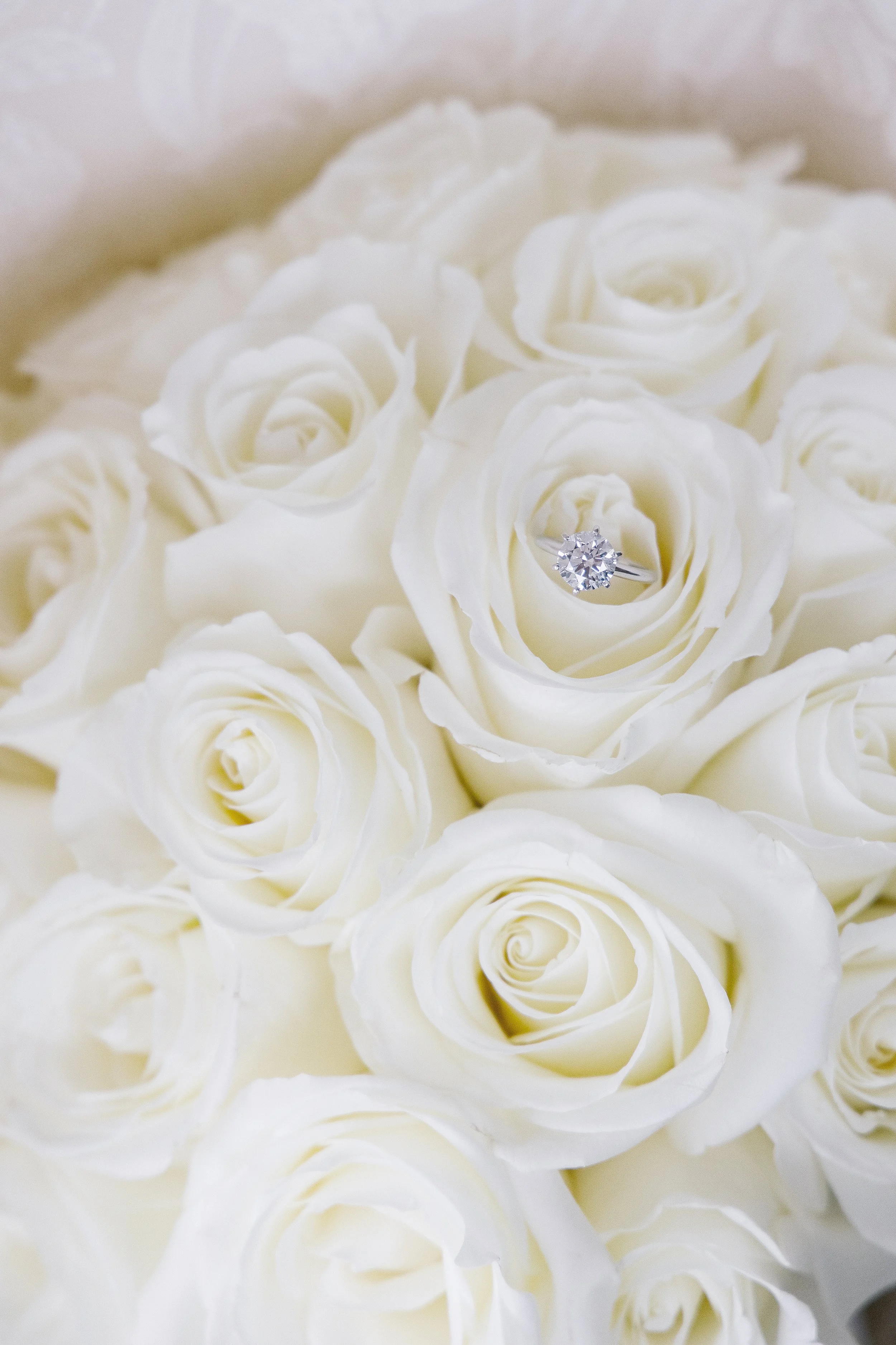 white rose bridal bouquet.jpg