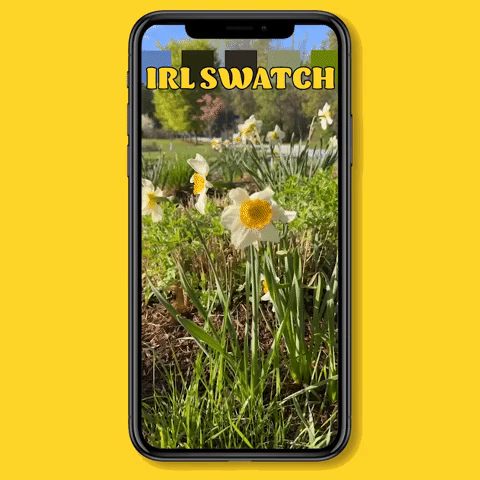 IRLSWATCH.gif