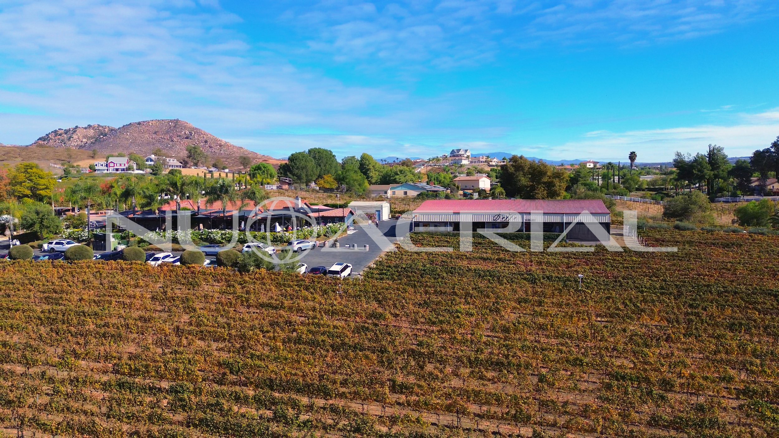 Doffo Winery Morning Autumn Vines