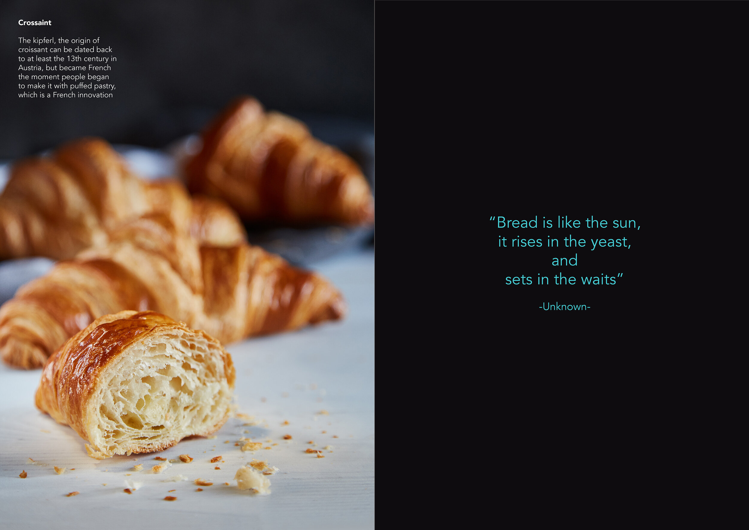 BREAD MAGAZINE BLURB-09.jpg