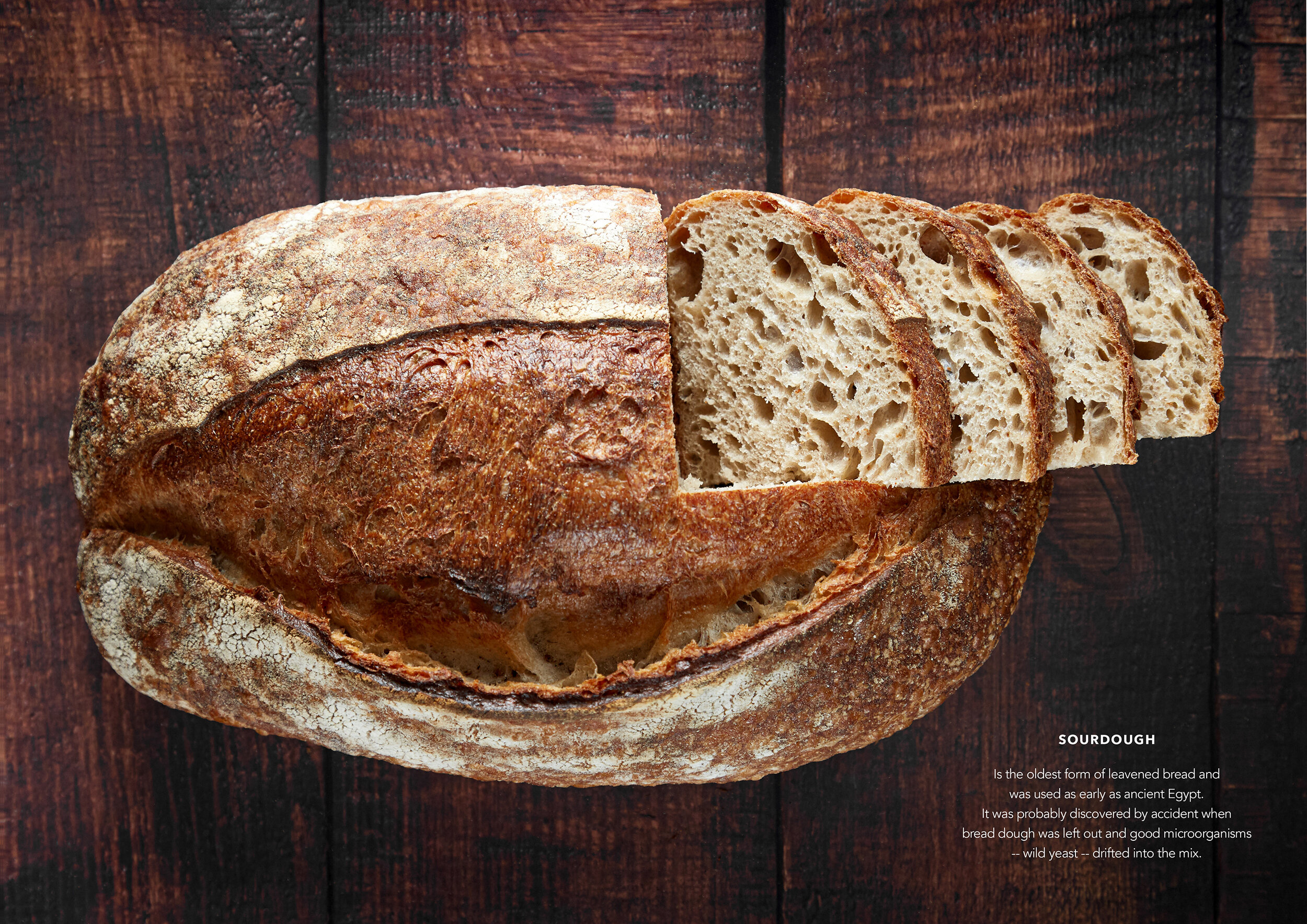 BREAD MAGAZINE BLURB-04.jpg