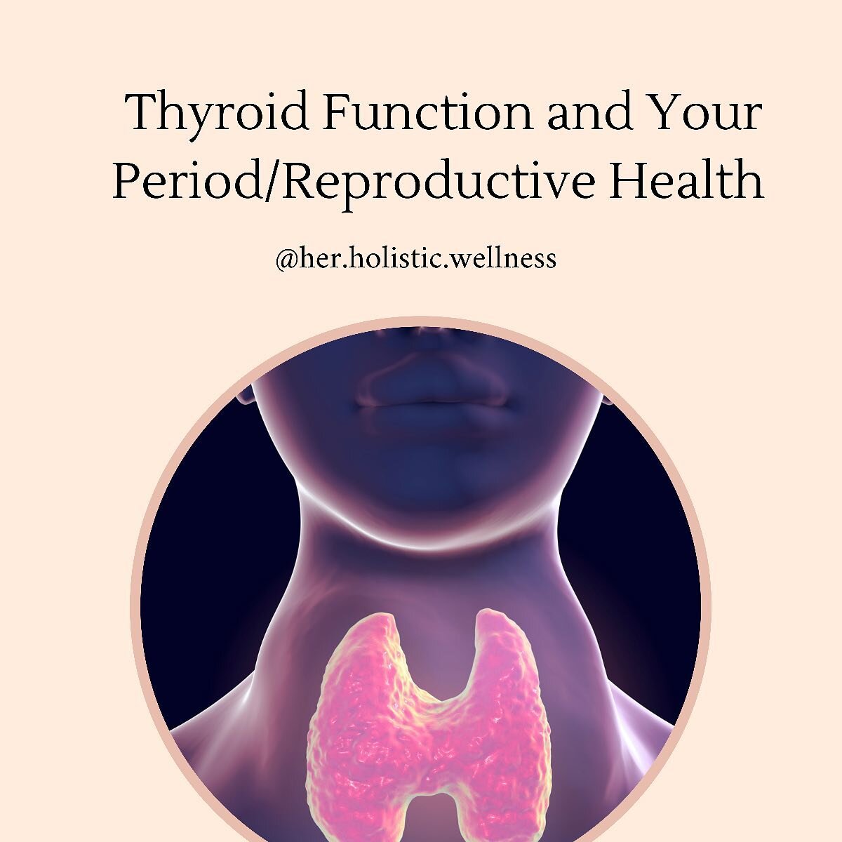 [Swipe]. Our thyroid may be little (its a small gland that sits low on the front of the neck) but it&rsquo;s mighty. ⁣
⁣
It controls all the metabolic processes in our body and has a major impact on our reproductive health.⁣
⁣
Swipe to find out how i