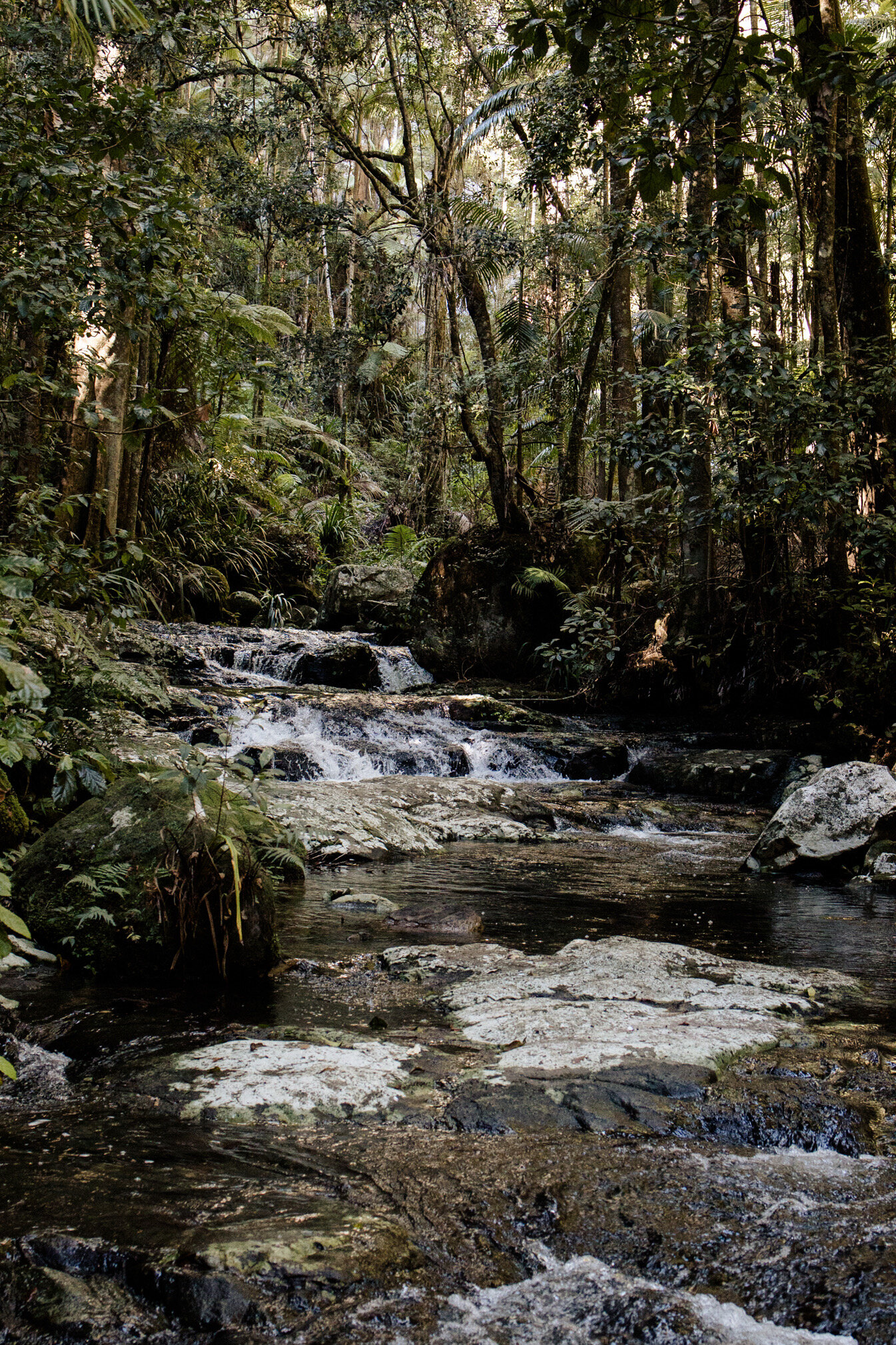 Inspiration for Mystic Ridge