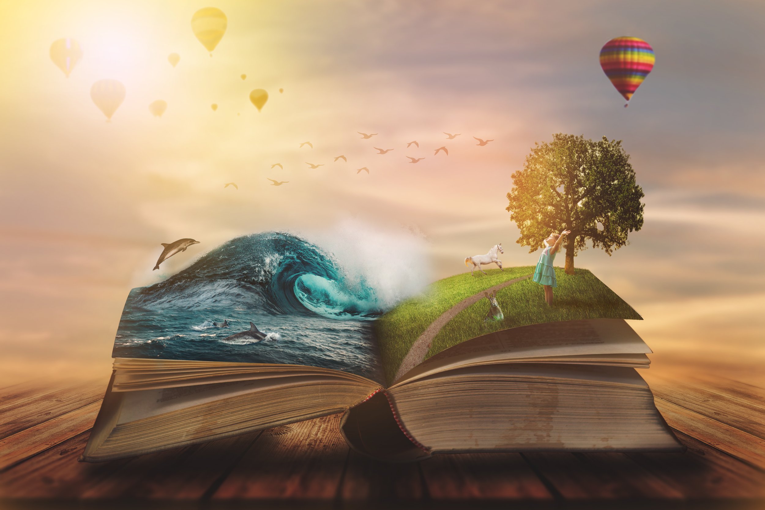 My brand-new book contract!