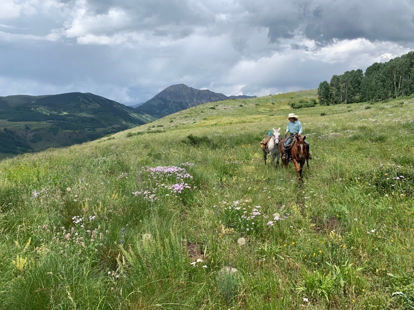 Jarren, on her horse Sonny leading the pack horse.