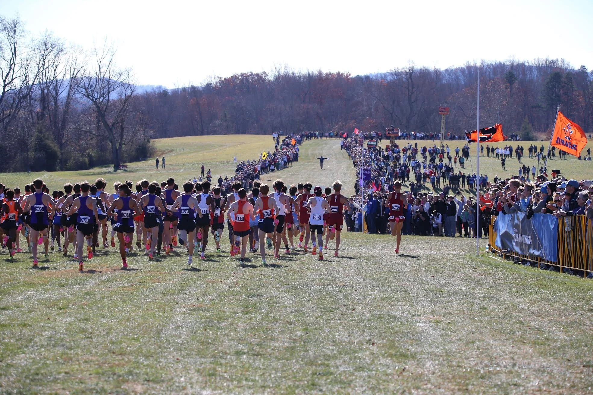 Panorama Running Panorama Farms panorama-running-panorama-farms