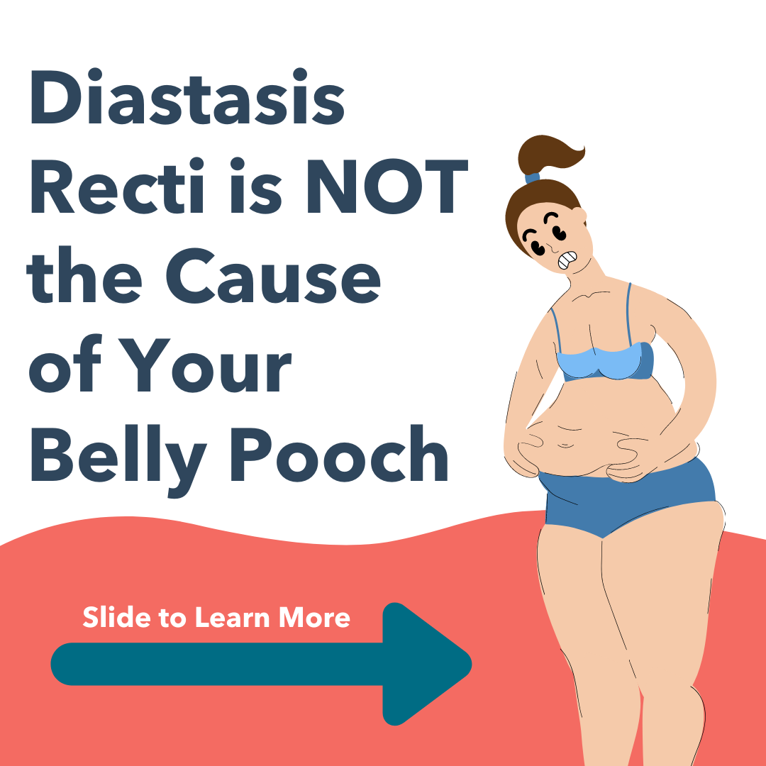 Diastasis Recti is Not the Cause of your Postpartum Belly Pooch — Fit Moms  on the Move, LLC