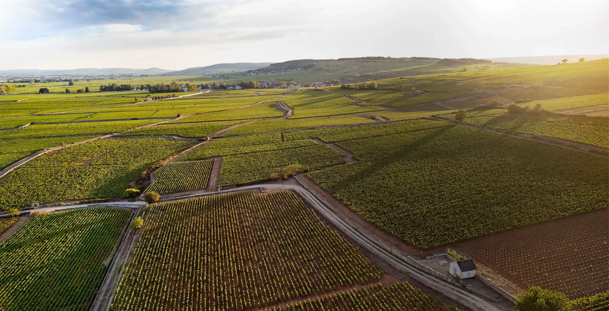 Aerial view of lush green agricultural fields divided by dirt roads, with distant rolling hills under a partly cloudy sky at sunset.