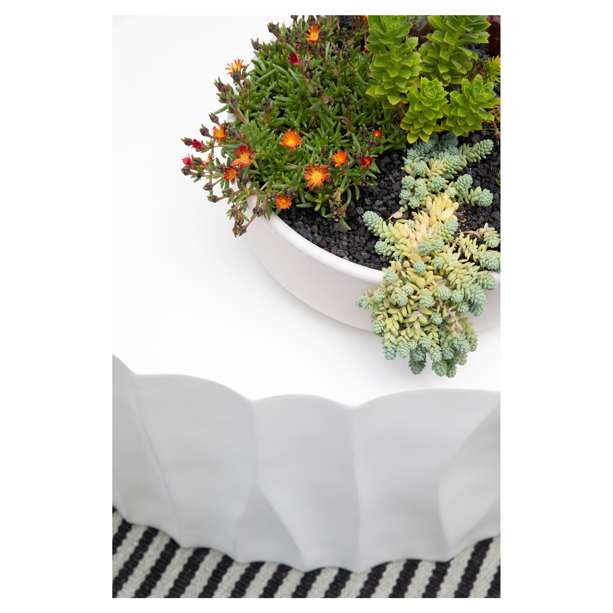 I hope your weekend doesn't succ 🌱

Who is refreshing their planters for springtime vibrance? My favorite arrangements include height for the back of the planters, filler flowers that add color to the surface area, and then a beautiful drape of bota