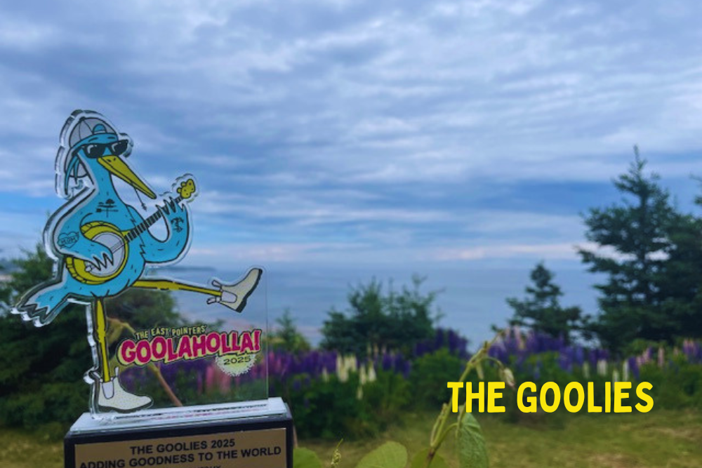 The Goolies WEB.png
