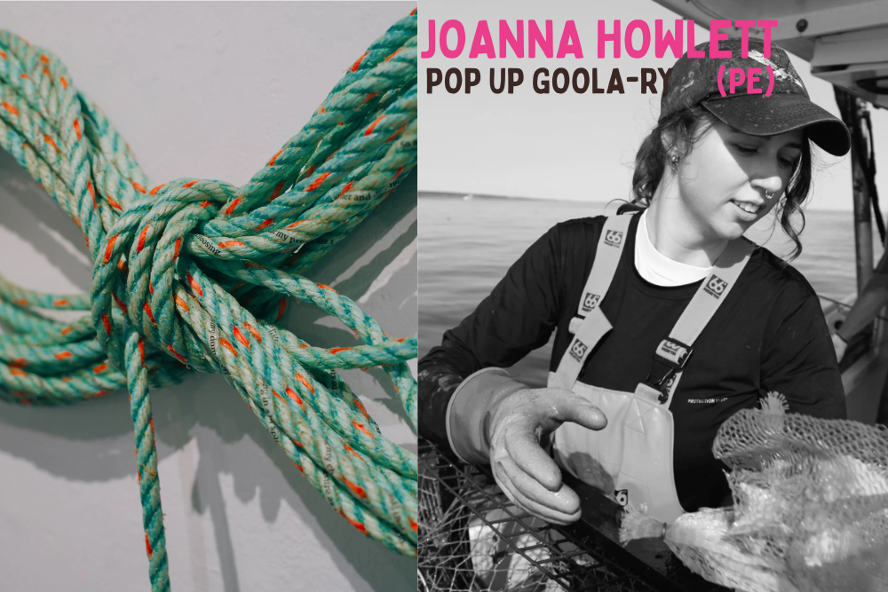 JoAnna Howlett WEB.png