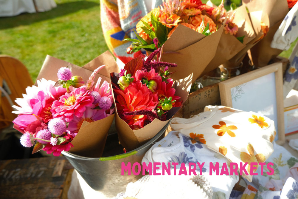 _MOMENTARY MARKETS WEB.png