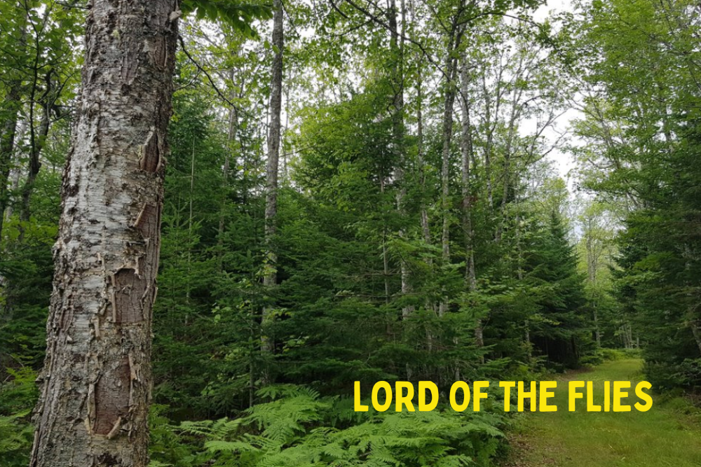 LordofTheFliesEB.png