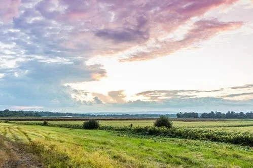Sunset NYS Farm