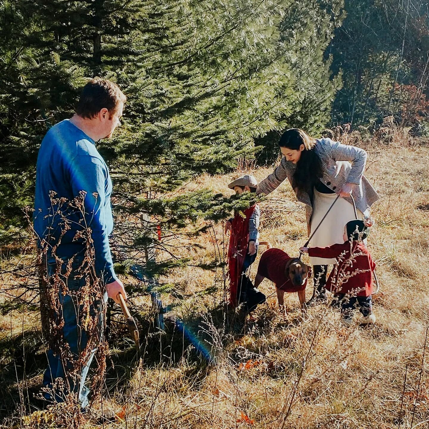 Merry Christmas from my family to yours!
I'm sorry for my unintentional silence on here, I've been caught up in the busy-ness of this season with little loves. I am grateful to all of you for your support and kindness as I work at trying to figure ou