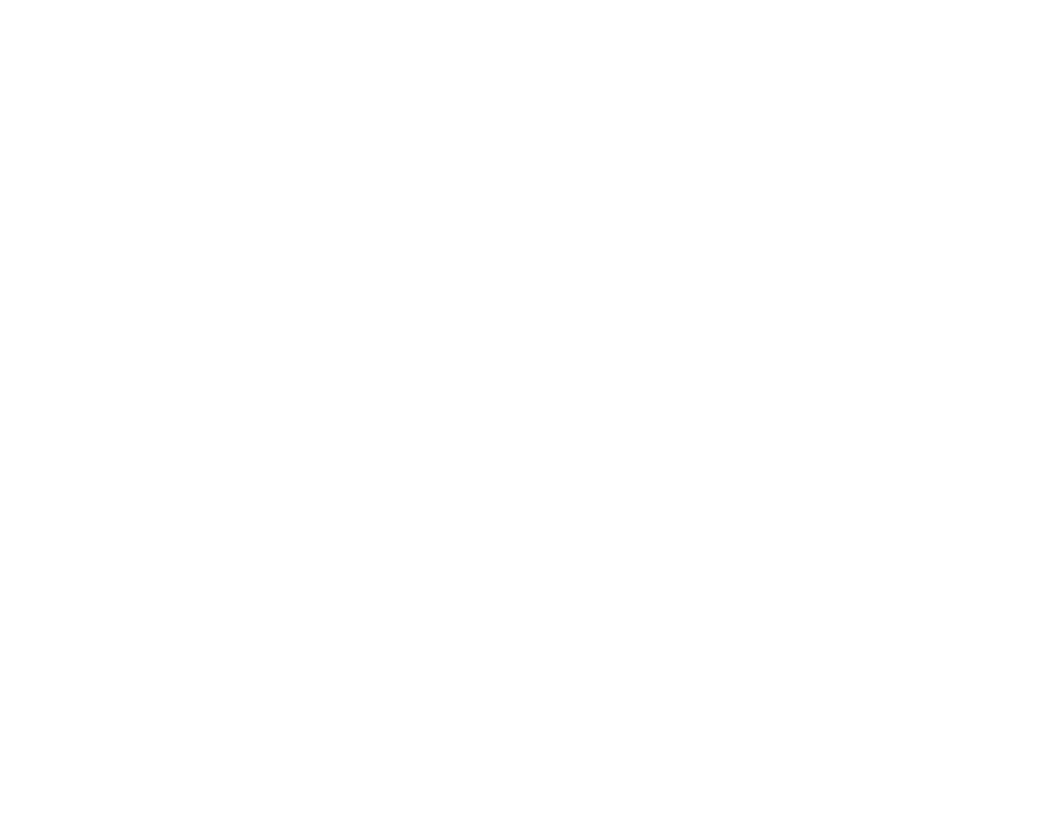 ReBirth Marketing and Consulting