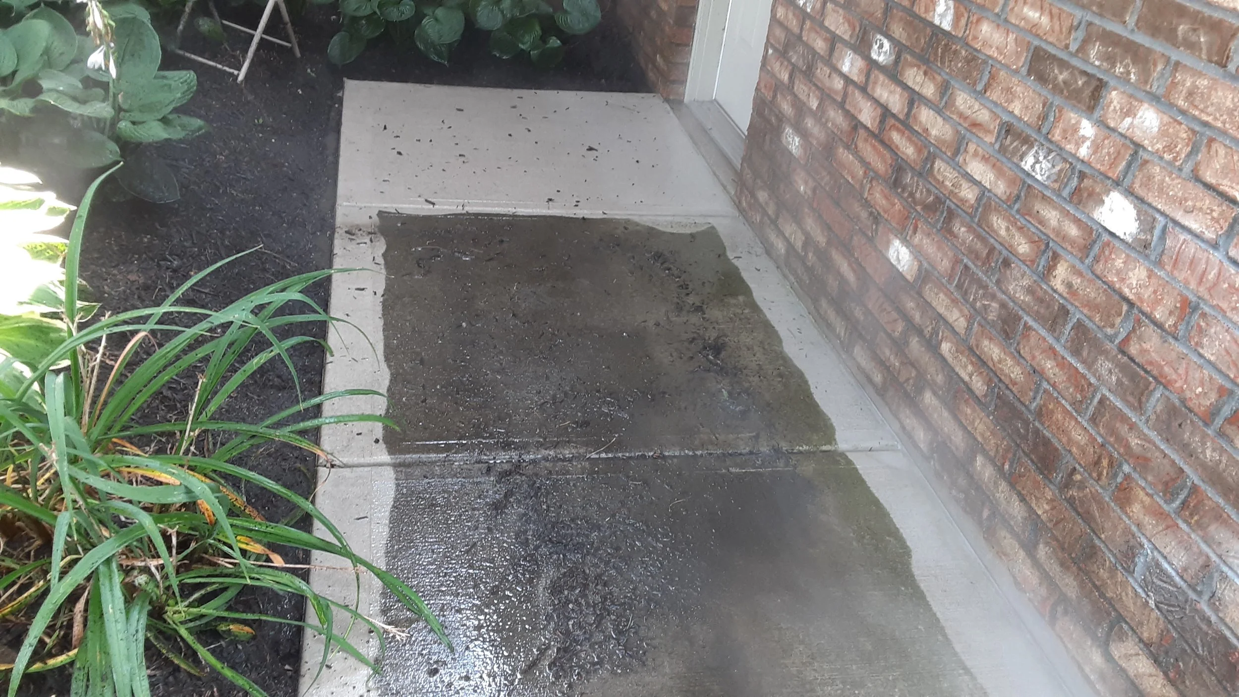 Wet concrete on porch next to brick wall and garden bed with green plants.