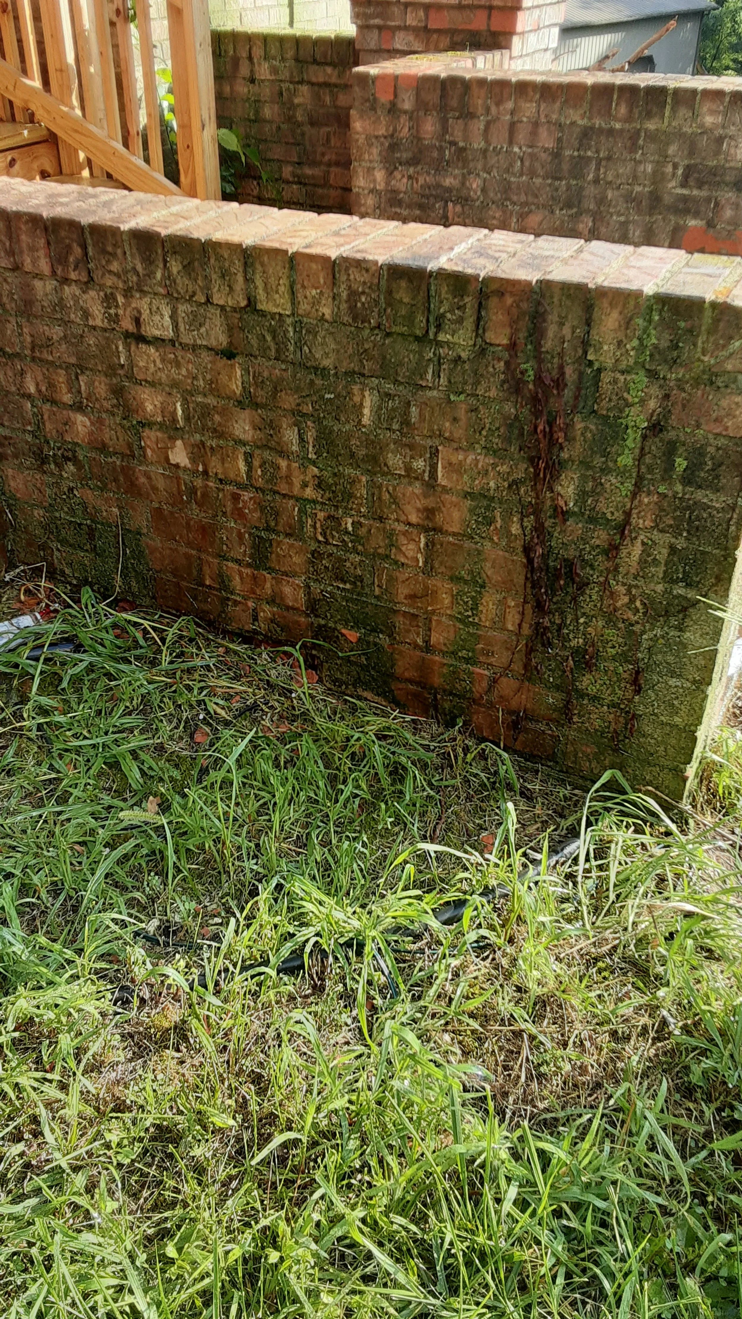 A dirt area with green grass in front of an old moss-covered brick wall.