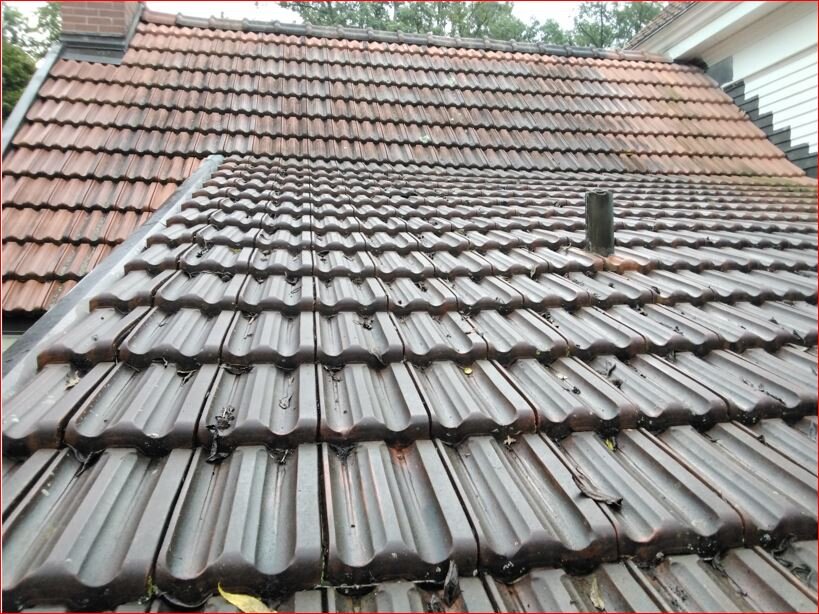 
dirty tile roof
