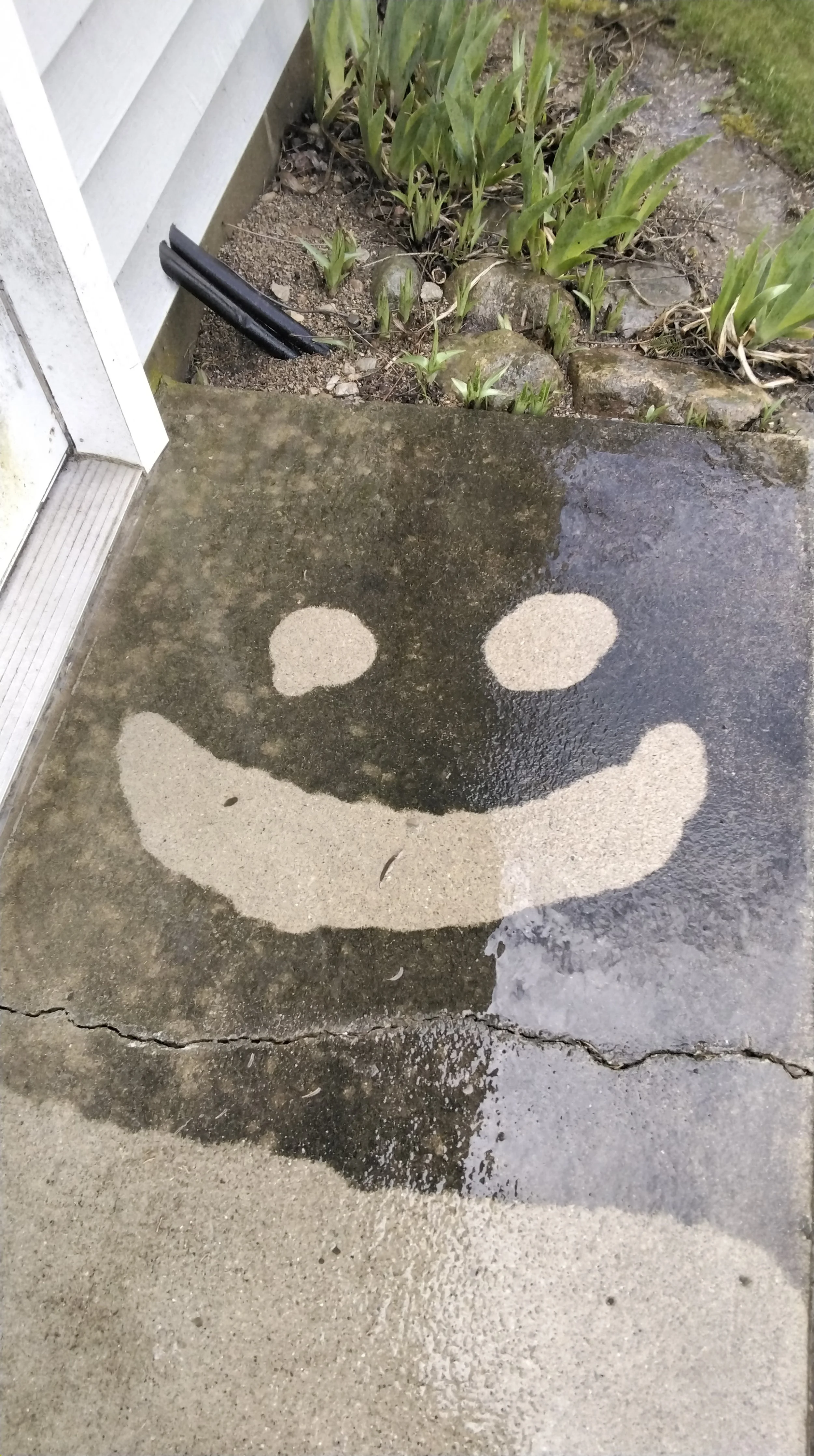 Wet concrete sidewalk with a smiley face design painted on it, next to green plants and part of a house wall.