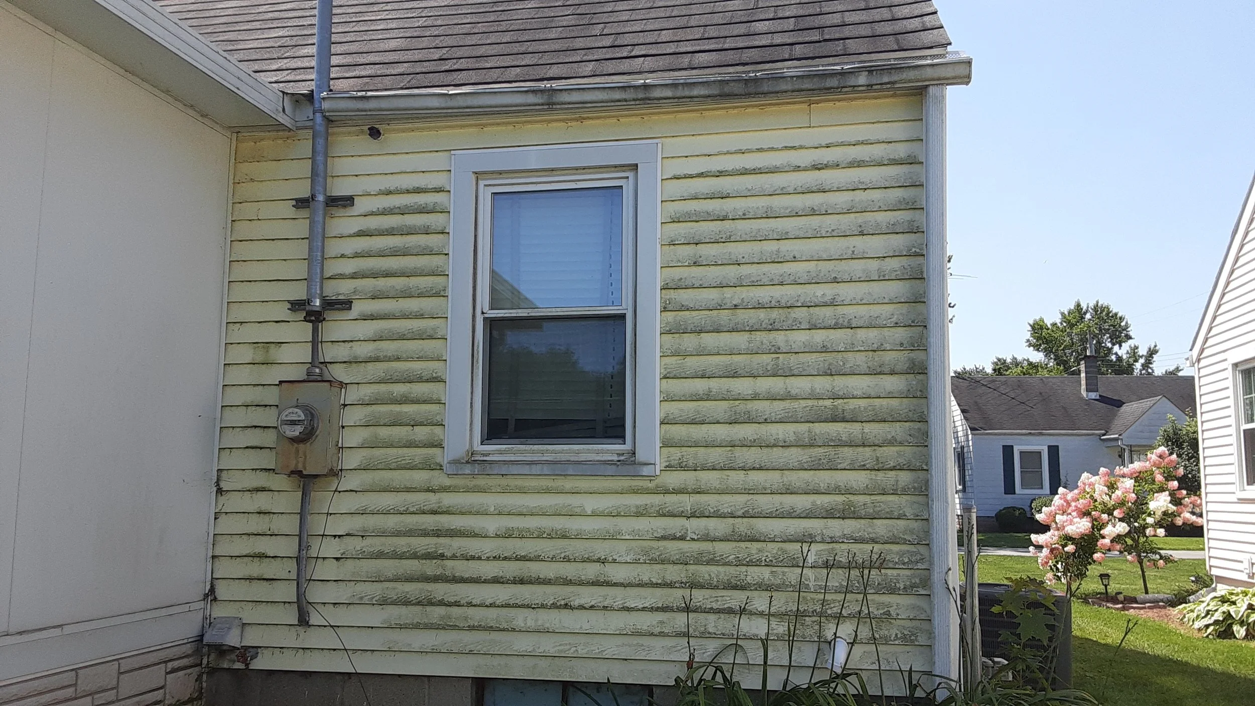 Side view of a yellow house with a window, electrical meter, and a white rain gutter. Next to the house, there is a pink flowering bush and neighboring houses with lawns, trees, and clear blue sky.