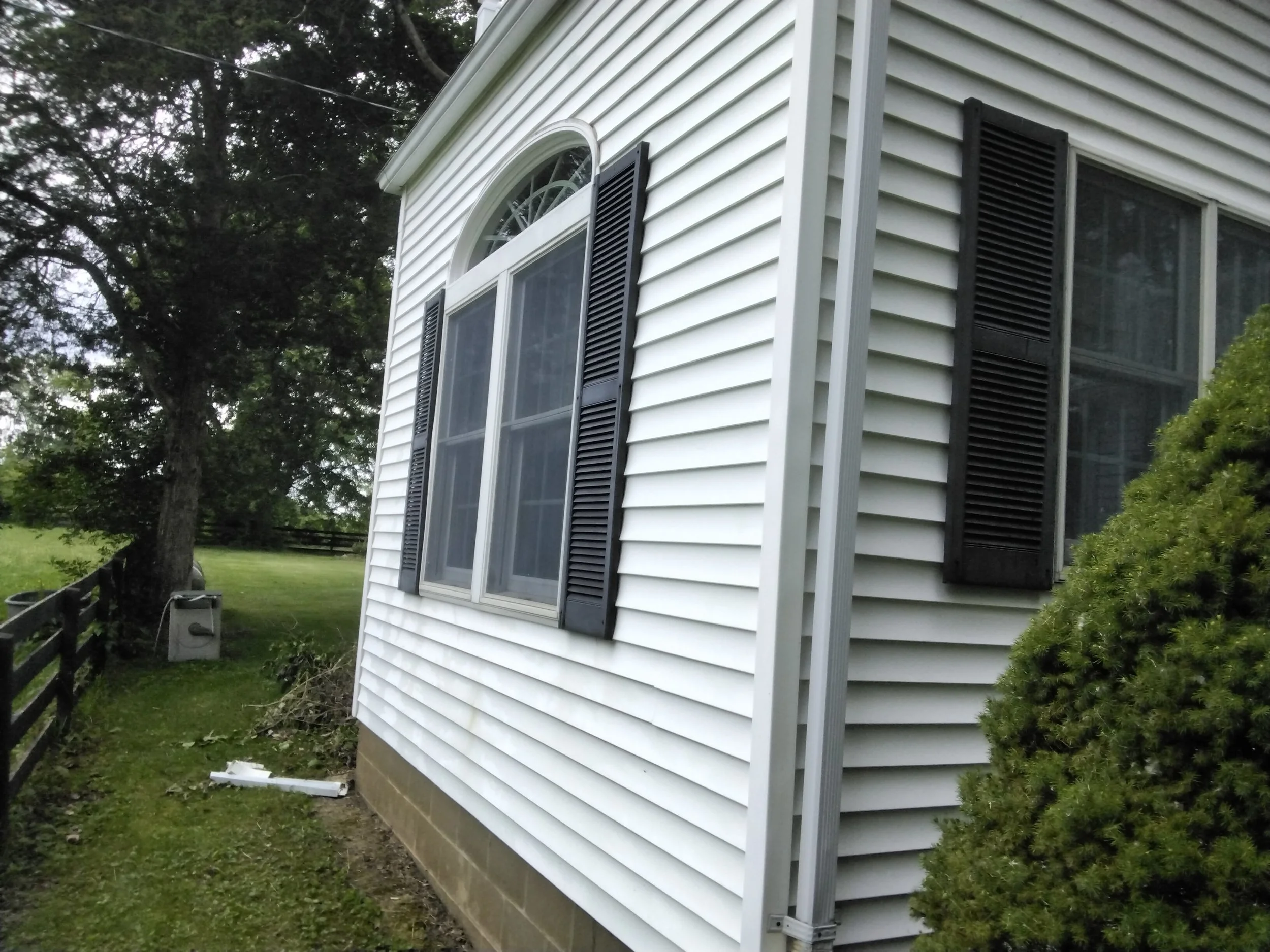 Side of a white house with black shutters and a window, next to a green bush and a large tree in the background.