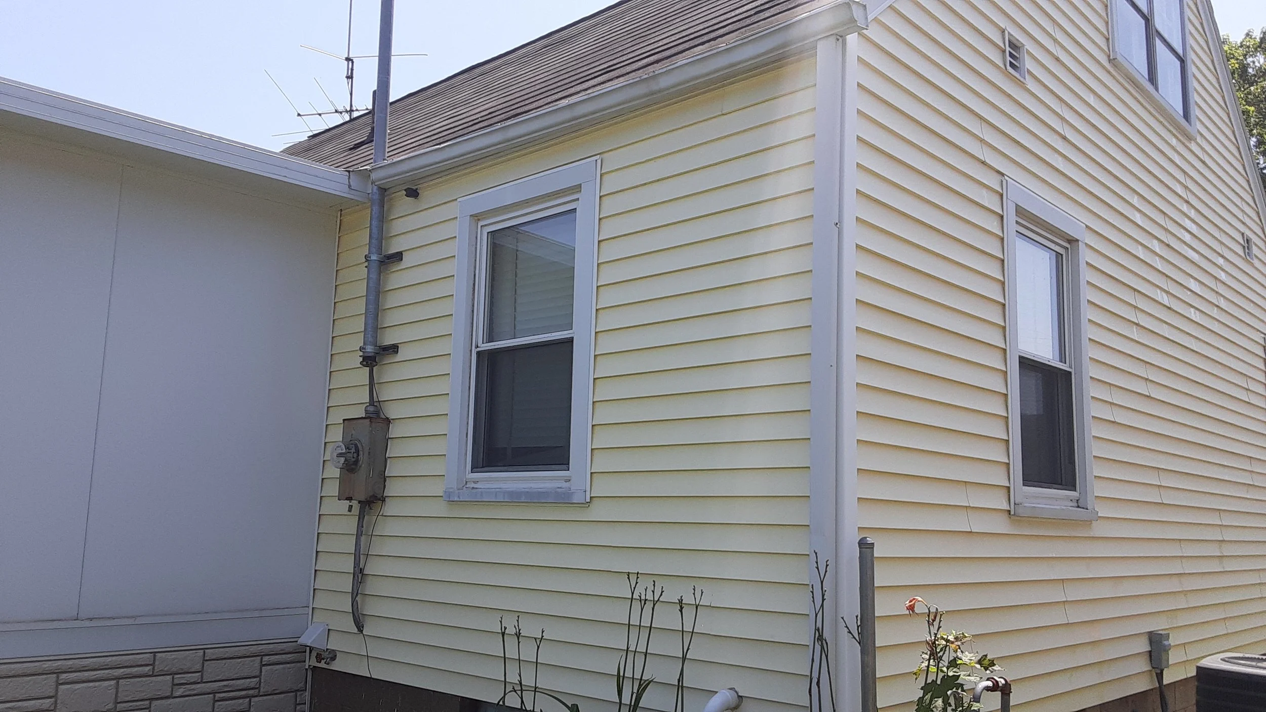 Exterior of a yellow house with two double-hung windows, white trim, and a gray shingled roof. There are electrical meters, a conduit, and some plants in front.