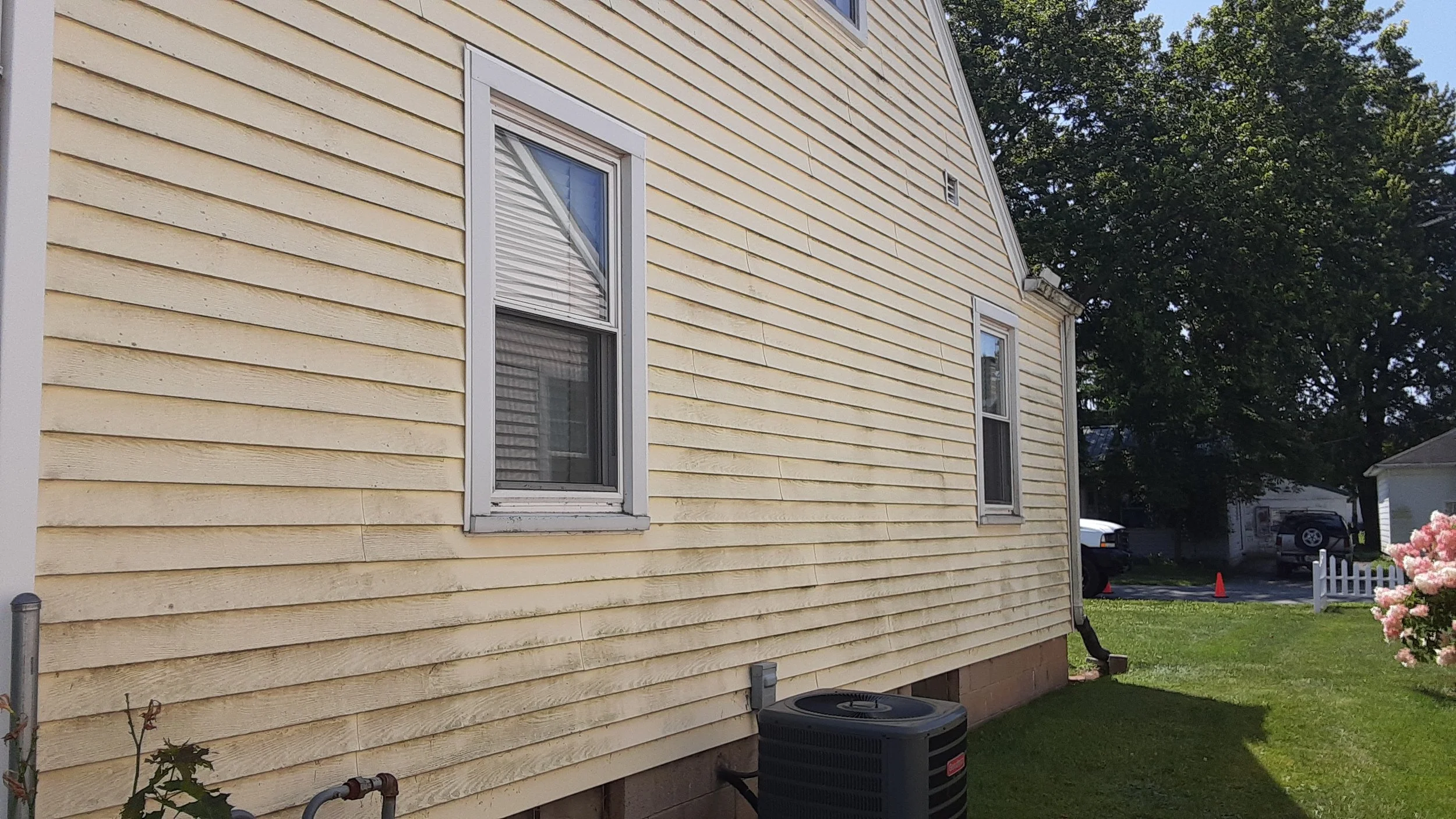Side view of a yellow house with two double-pane windows, green lawn, pink flowering bush, and a tree in the background. Air conditioning unit and gutter downspout are visible.