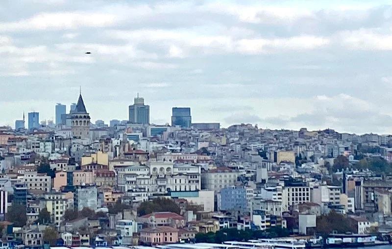 Vibrant Istanbul, so full of rich history, beautiful mosques, vibrant markets–and cats
