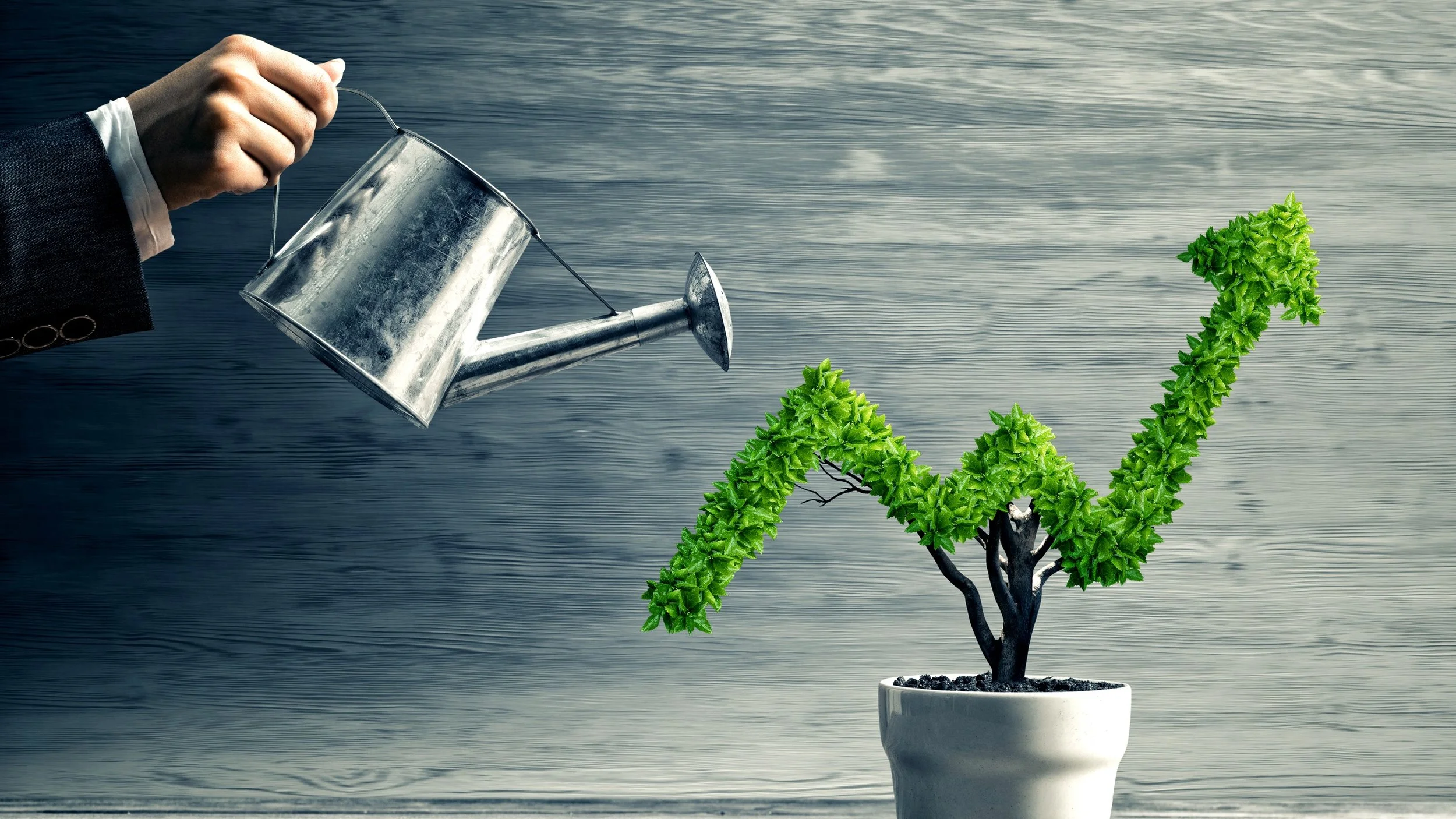 Bookkeeping Services, Payroll, Business management, Startup services, CRM