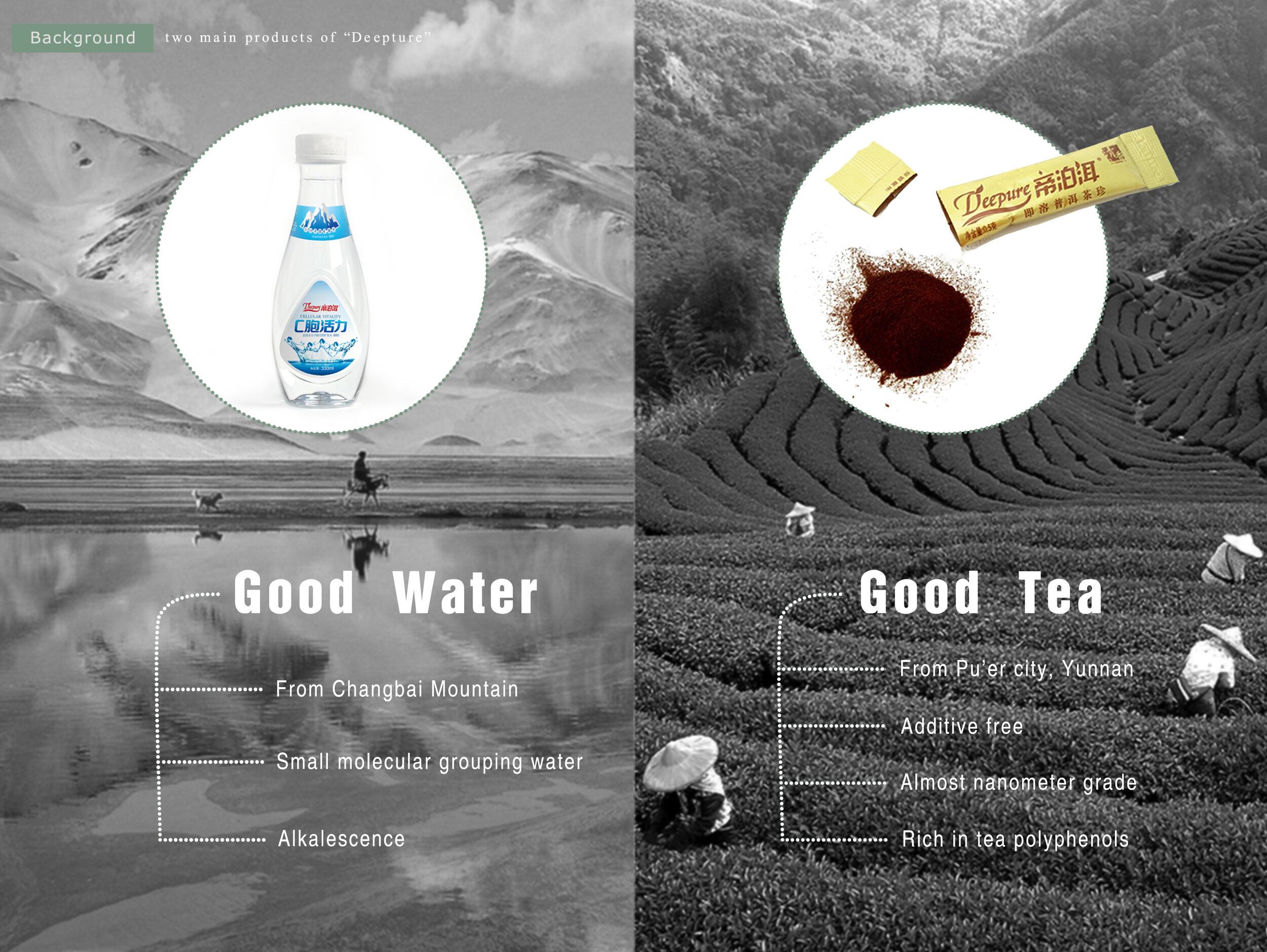 茶2-背景final.jpg