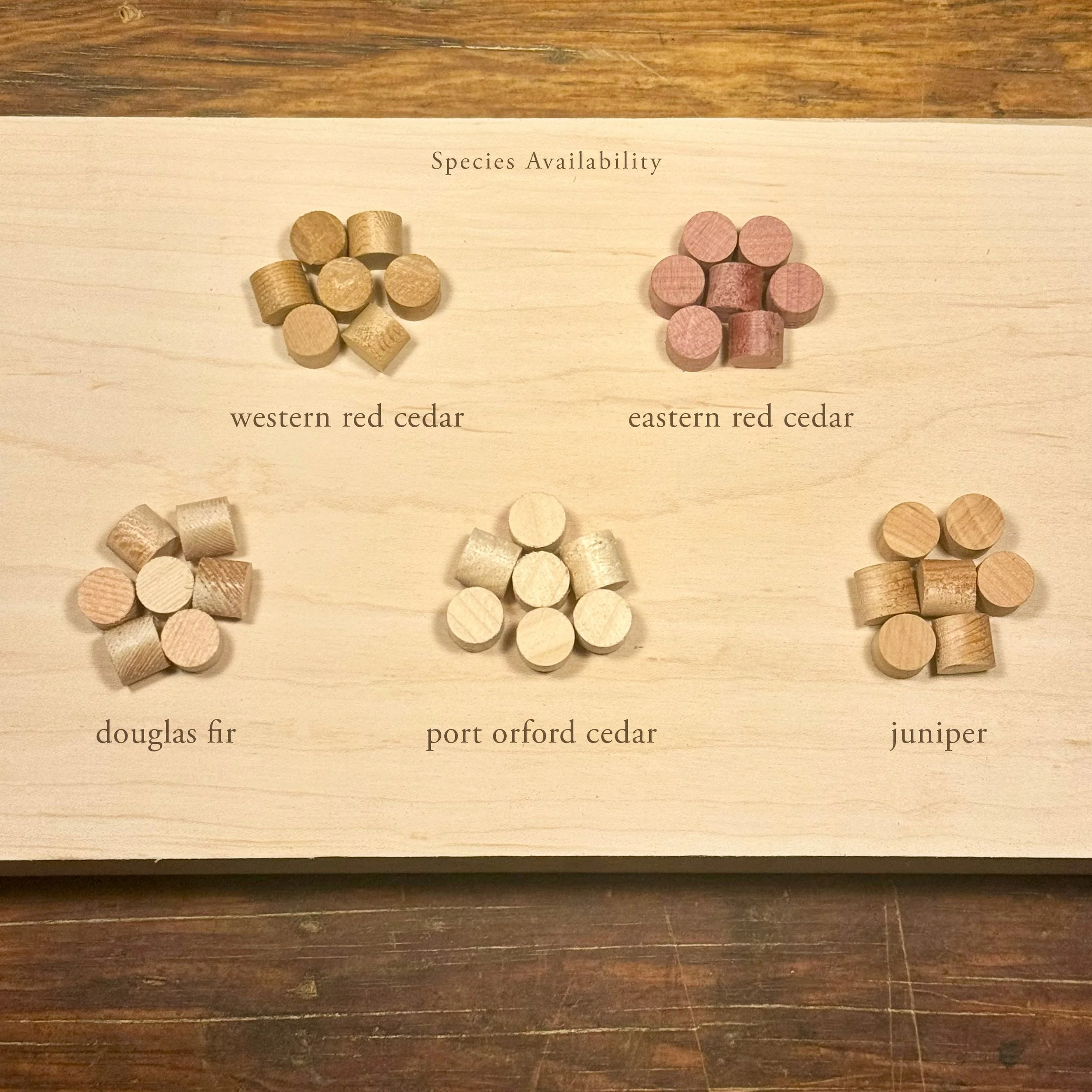 Wood plug species available — handcrafted face grain plugs in multiple wood species by Licari Woodworks Portland Oregon