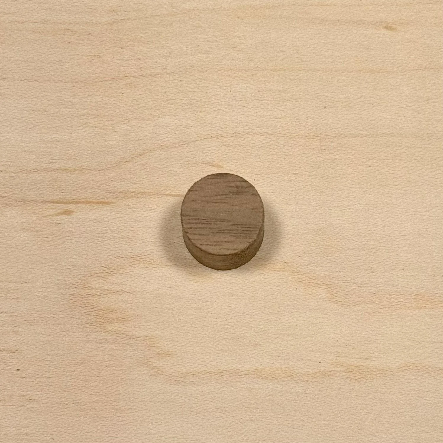 Black Walnut deep chocolate grain close up wood plug grain detail Portland Oregon Licari Woodworks