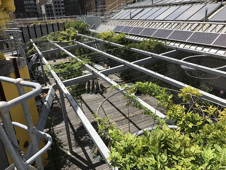 Coolth Inc. CH2IMG_7526.JPG