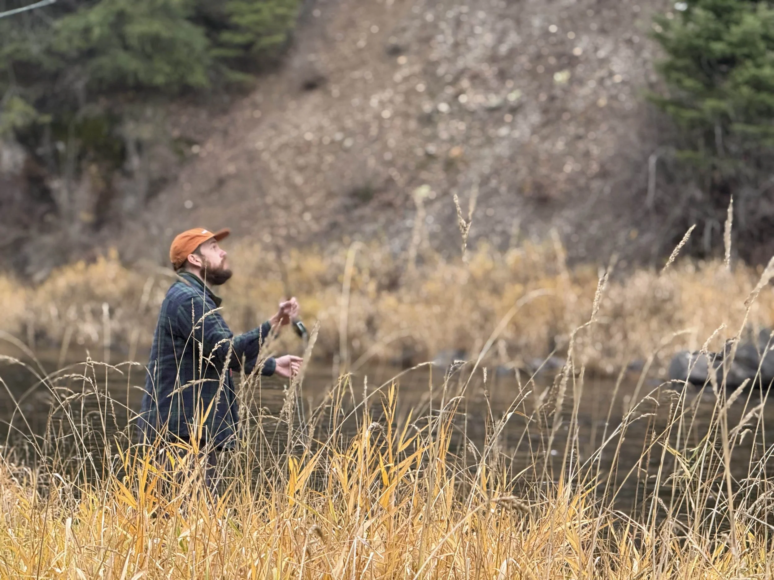 Minimal Conservation, and the Dog that Lives in Us All