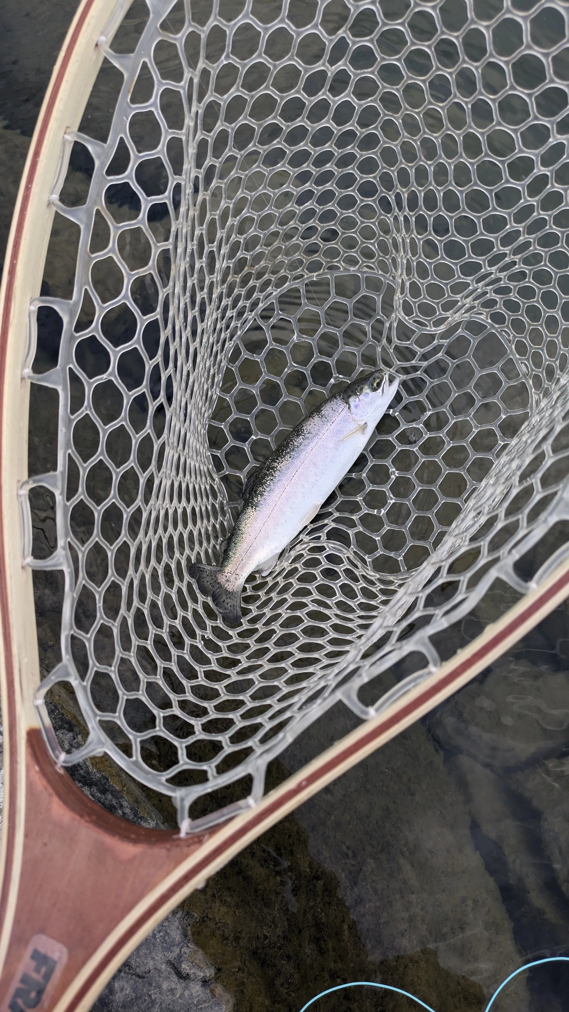 Inner Village Kootenai Fly Fishing Pt. 2