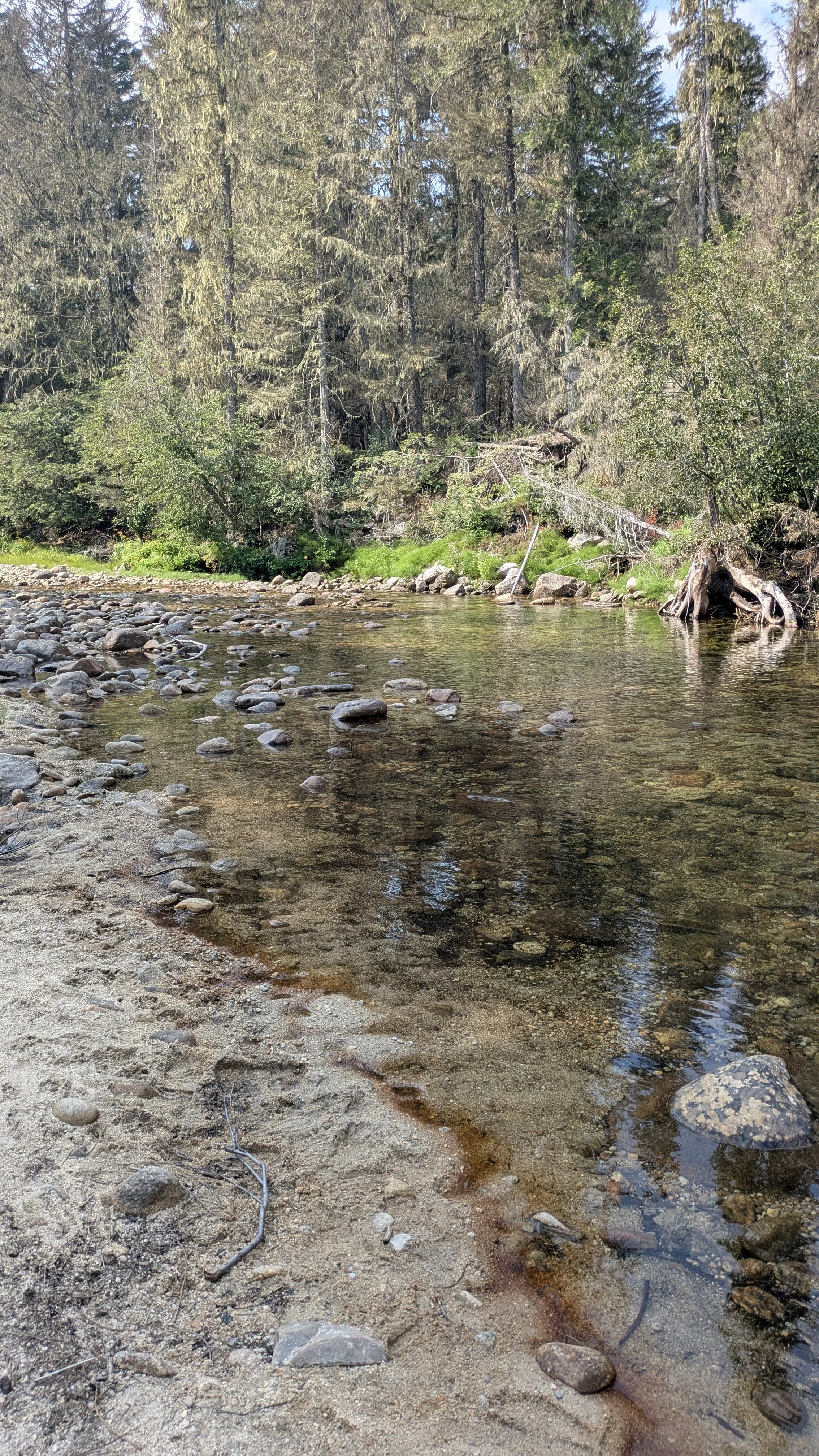 The Hunt for a Hatch