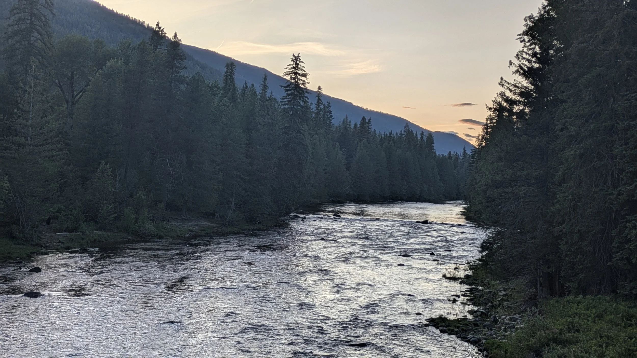 Moyie2.jpg